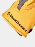 rekawice-black-diamond-transition-gloves-natural-s-rozmiar-s