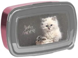 sniadaniowka-paso-750-ml