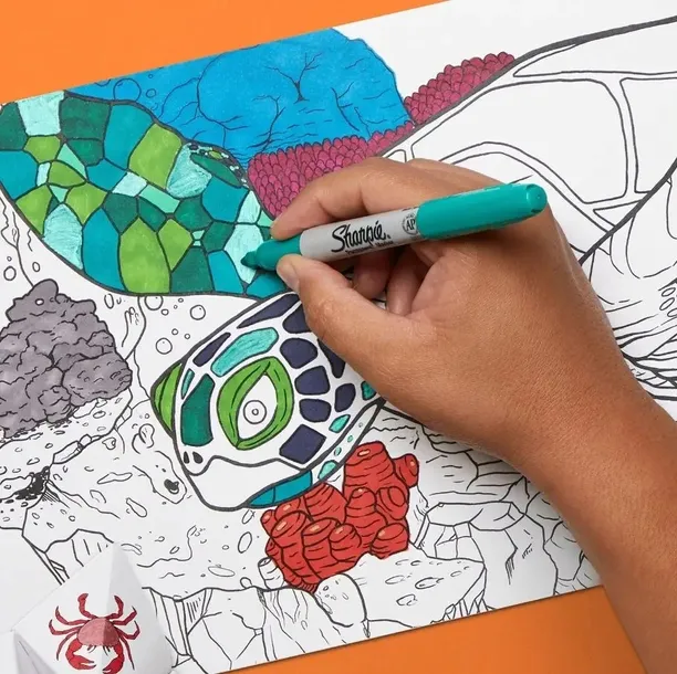 sharpie-sharpie-marker-fein-rundspitze-value-pack-24-stuck-liczba-sztuk-w-zestawie-24-szt