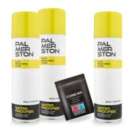 odswiezacz-do-obuwia-x3-z-chusteczka-do-czyszczenia-zestaw-4w1-palmerston