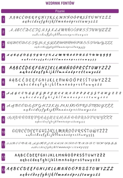 pioro-waterman-naboje-marka-waterman-waga-z-opakowaniem-0-45-kg