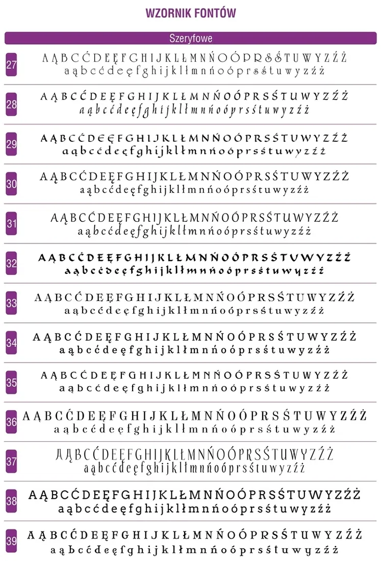 pioro-waterman-naboje