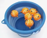 rybki-w-wiaderku-compactoys