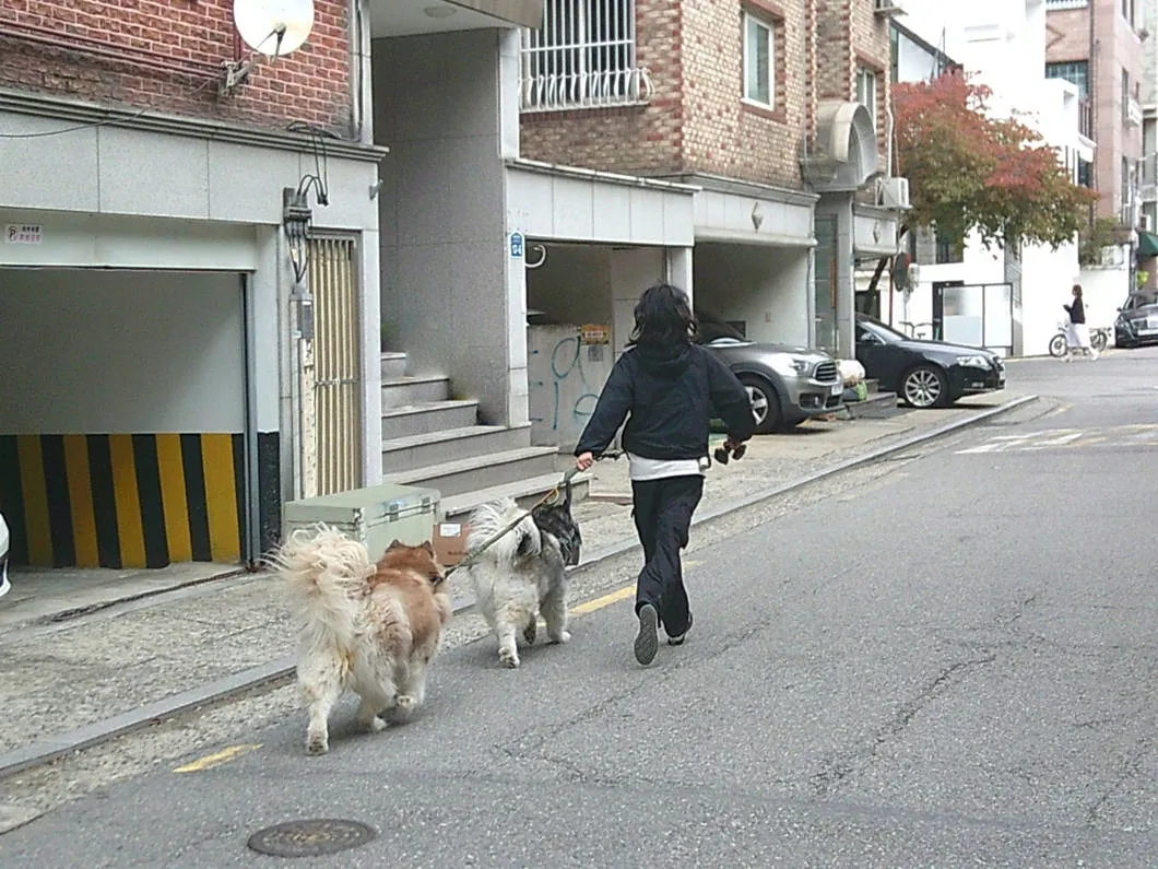 yashica-digipix-100-white-marka-yashica