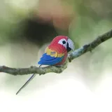 ukladanka-3d-eugy-papuga-25-el-bohater-brak