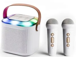 nn-pm2-bezprzewodowy-przenosny-zestaw-karaoke-2-mikrofony-glosnik-bluetooth