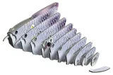 ryba-arowana-srebrna-ukladanka-3d-eugy-marka-eugy