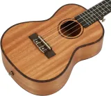 ukulele-koncertowe-cascha-kod-producenta-premium-mahogany-concert
