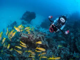 olympus-prbc-ep01-tylny-dekiel-do-kapsuly-pro-ep01