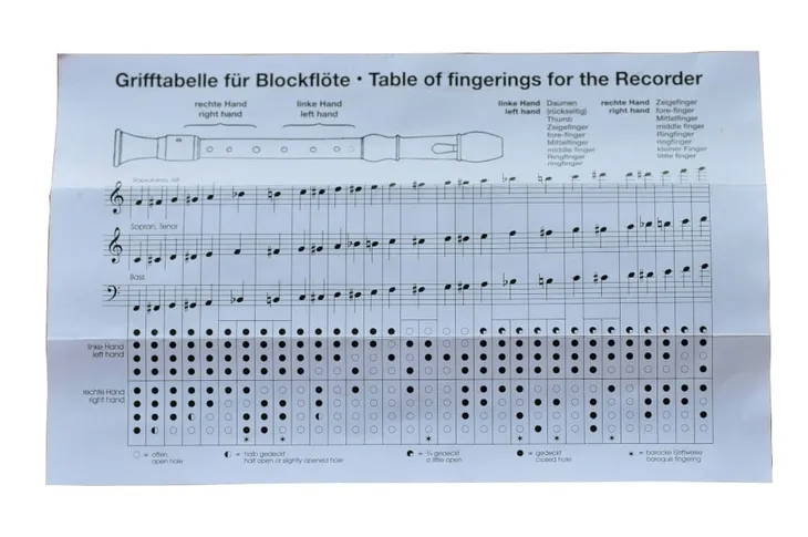 flet-prosty-ars-nova-3ba2-39003-marka-ars-nova-kod-producenta-3ba2-39003