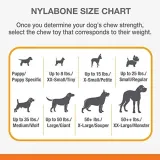 gryzak-dla-psa-nylabone-marka-nylabone