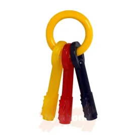 nylabone-puppy-chew-keys-gryzak-o-zapachu-bekonu-dla-szczeniaka-m
