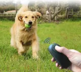 odstraszacz-przeciwko-psom-zastosowanie-psom