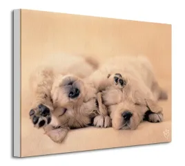 plakat-rachael-hale-jay-and-connie-bez-ramy-40-x-30-cm