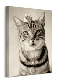 plakat-rachael-hale-nikon-and-nigel-bez-ramy-40-x-50-cm