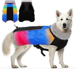 kurteczka-citetoile-wielokolorowy-m