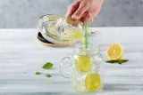 wyciskarka-do-cytryn-destalya-szklana-reczna-z-uchwytem-kod-producenta-wyciskarka