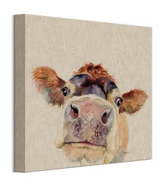 jane-bannon-brazowa-krowa-obraz-30x30-cm