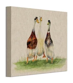 jane-bannon-trzy-kaczki-obraz-na-plotnie-30x30-cm