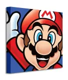 super-mario-mario-obraz-na-plotnie-40x40-cm