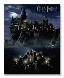 plakat-harry-potter-40-x-50-cm