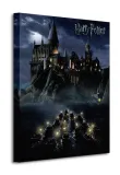 harry-potter-szkola-hogwart-obraz-na-plotnie-waga-z-opakowaniem-0-57-kg