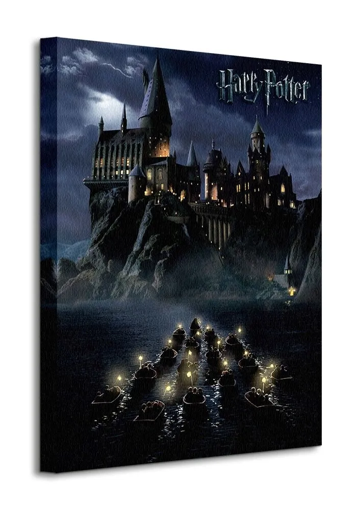 plakat-harry-potter-40-x-50-cm
