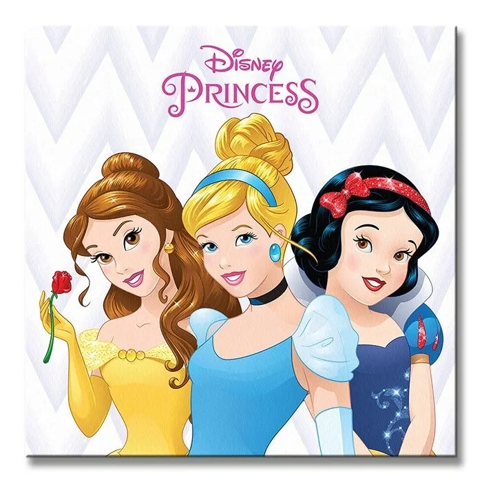 disney-princess-obraz-na-plotnie-40x40-cm