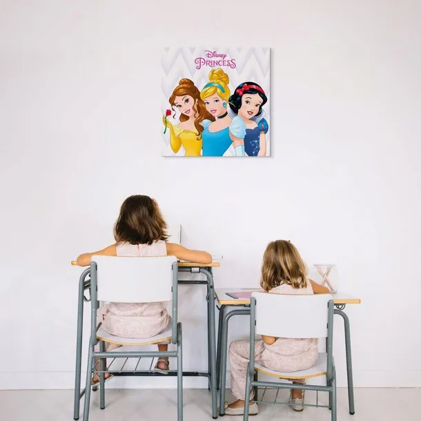 disney-princess-obraz-na-plotnie-40x40-cm-format-kwadratowy