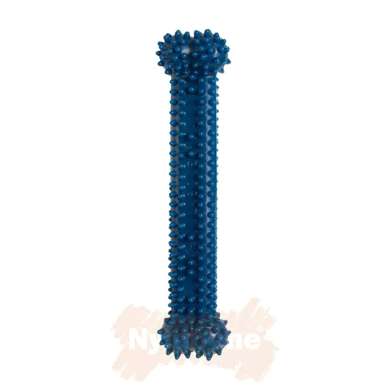 gryzak-dla-psa-nylabone-s6103361
