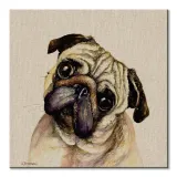 jane-bannon-mops-obraz-na-plotnie-30x30-cm-sposob-wykonania-druk-cyfrowy