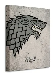 30x40-cmgra-o-tron-game-of-thrones-stark-obr