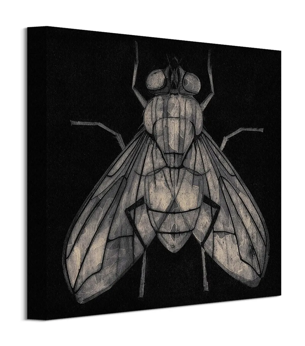 goodman-barry-mucha-obraz-na-plotnie-30x30-cm