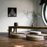 goodman-barry-mucha-obraz-na-plotnie-30x30-cm-format-kwadratowy