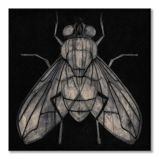 goodman-barry-mucha-obraz-na-plotnie-30x30-cm-material-wykonania-plotno