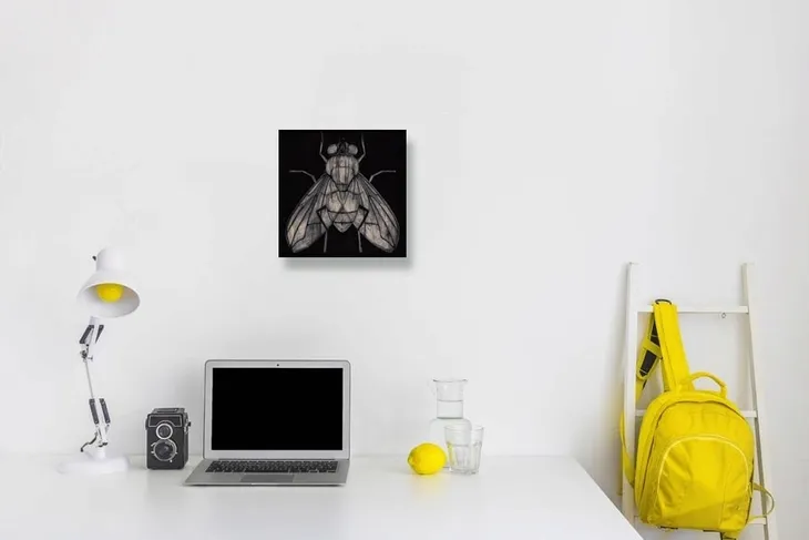 goodman-barry-mucha-obraz-na-plotnie-30x30-cm-material-ramy-drewno