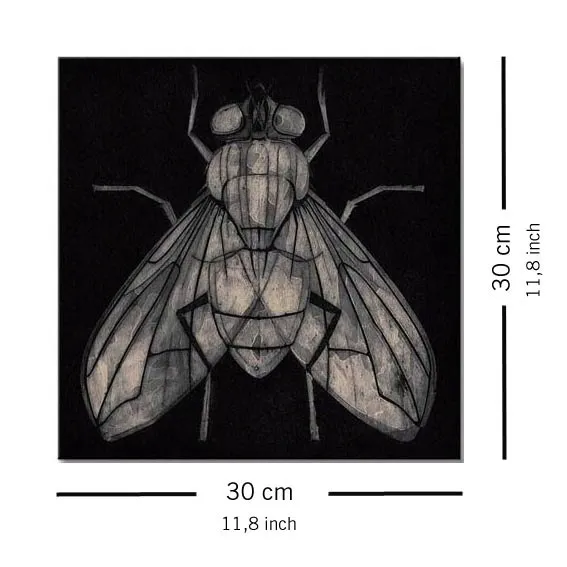 goodman-barry-mucha-obraz-na-plotnie-30x30-cm-wysokosc-produktu-30-cm