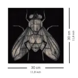 goodman-barry-mucha-obraz-na-plotnie-30x30-cm-wysokosc-produktu-30-cm