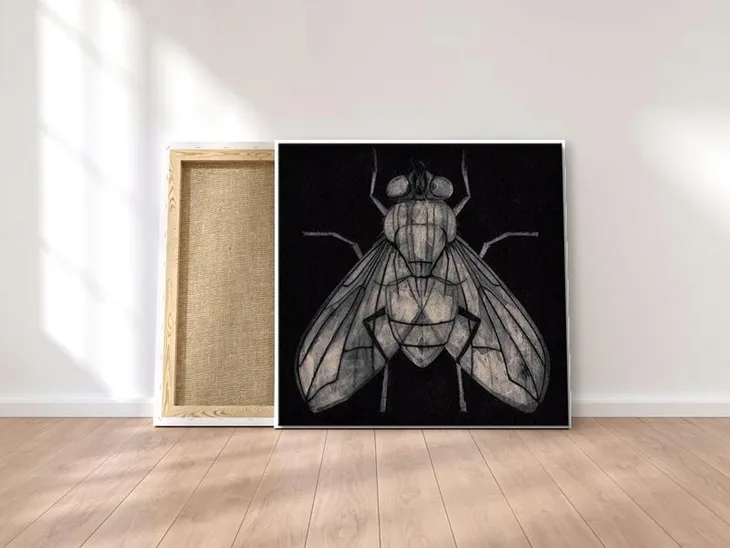 goodman-barry-mucha-obraz-na-plotnie-30x30-cm-szerokosc-produktu-30-cm