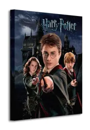 plakat-filmowa-ksiazkowa-magia-harry-potter-40-x-50-cm