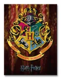 obraz-na-plotnie-harry-potter-30x40cm-bohater-harry-potter