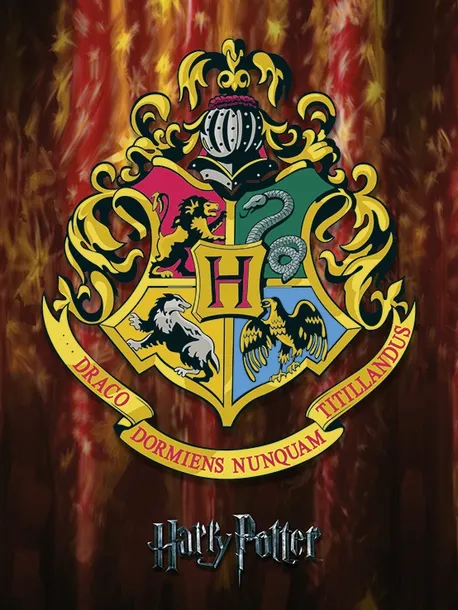 obraz-na-plotnie-harry-potter-30x40cm-plec-chlopcy