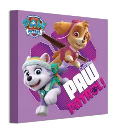 30x30-cm-paw-patrol-call-the-paw-patrol-obraz-na