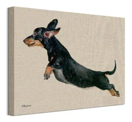 jane-bannon-skaczacy-jamnik-obraz-40x30-cm