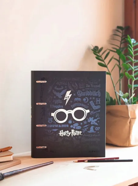 segregator-a4-erik-harry-potter-marka-erik