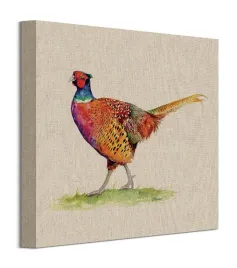 jane-bannon-bazant-zwyczajny-obraz-plotno-30x30-cm