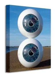 pink-floyd-album-pulse-obraz-na-plotnie-30x40-cm