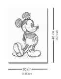 myszka-miki-disney-obraz-na-plotnie-30x40-cm-material-wykonania-plotno