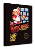 nintendo-super-mario-bros-obraz-plotno-30x40-cm