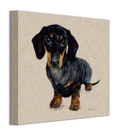 jane-bannon-czarny-jamnik-obraz-30x30-cm